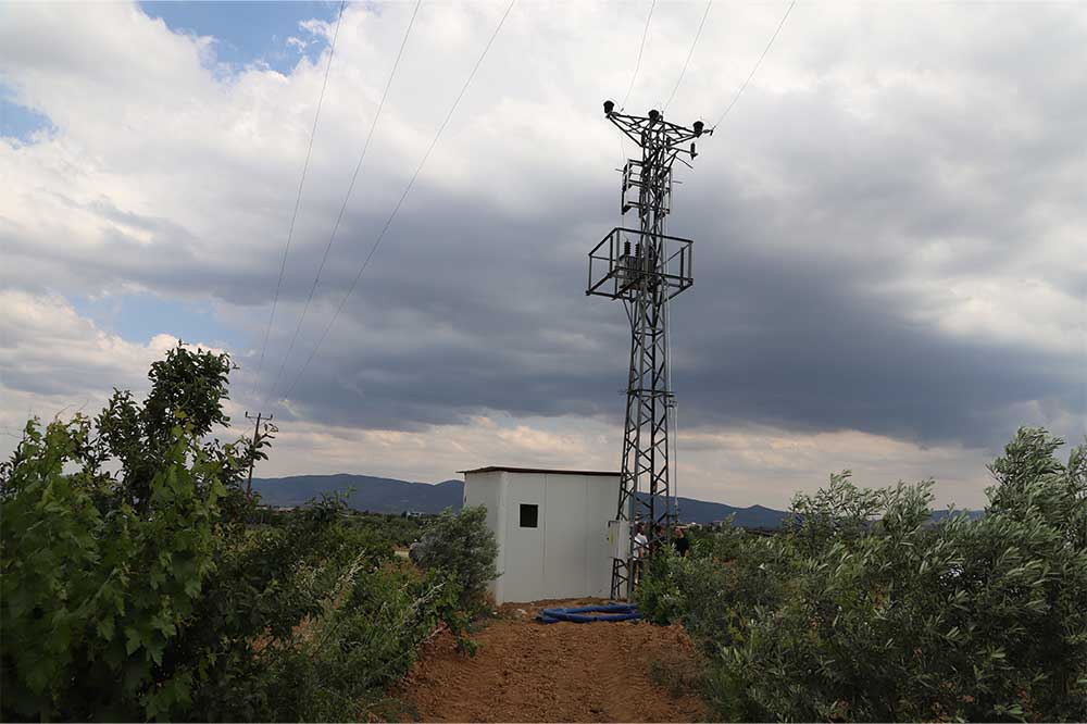 6-20250528103155.jpg