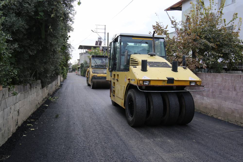 Amli3VbTr7Pw6K4D0Mi8.JPG