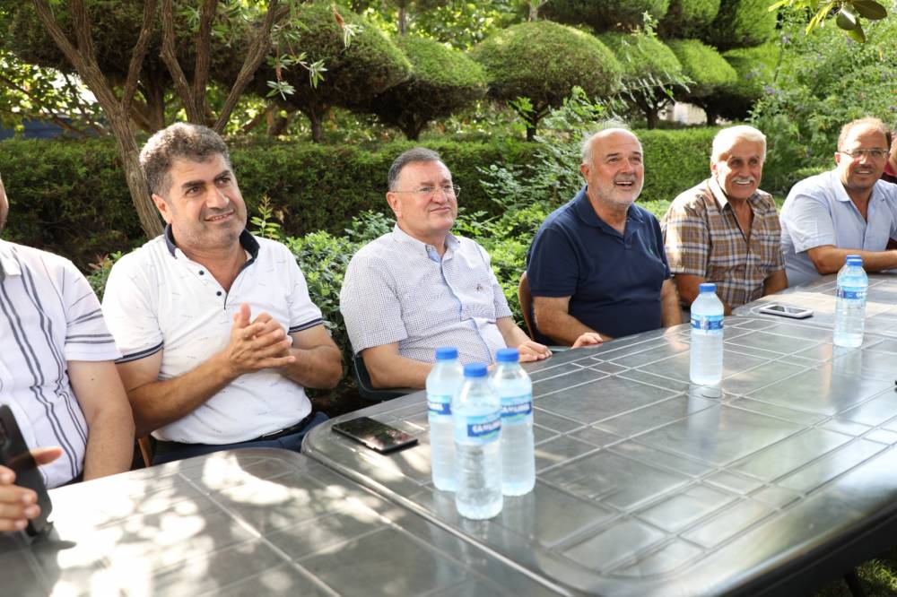 FkwEDFe7nMnZDv7IL8nX.jfif