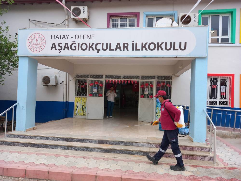 bdKYjgbobjGlHxSjsWcN.jpeg