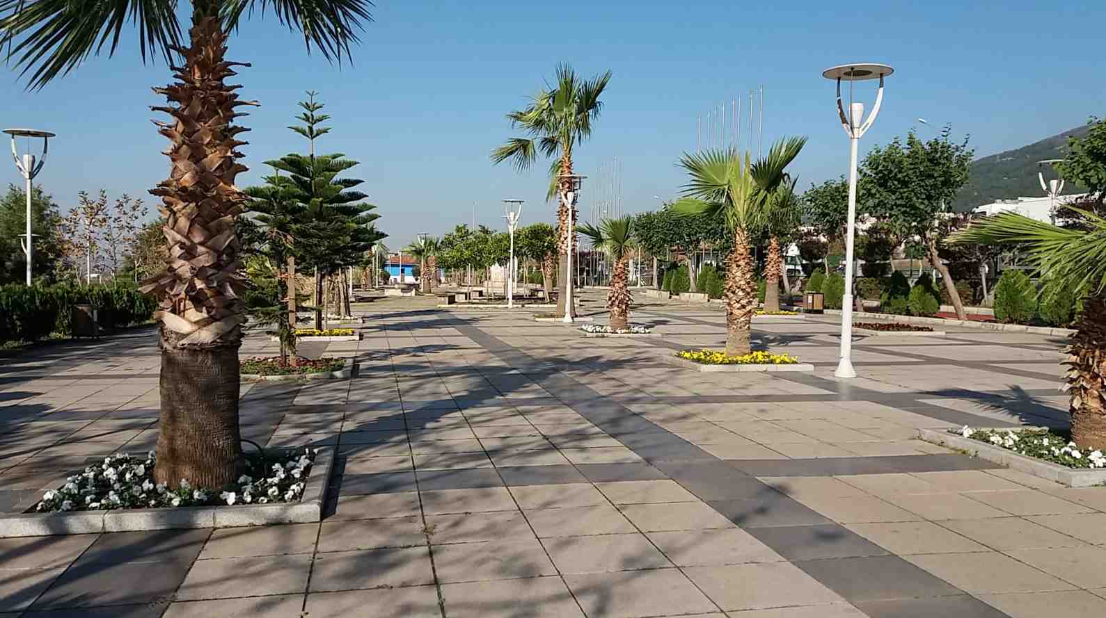 crop_0e706263-43c1-4234-b2e3-cd2eaa832893.jpeg