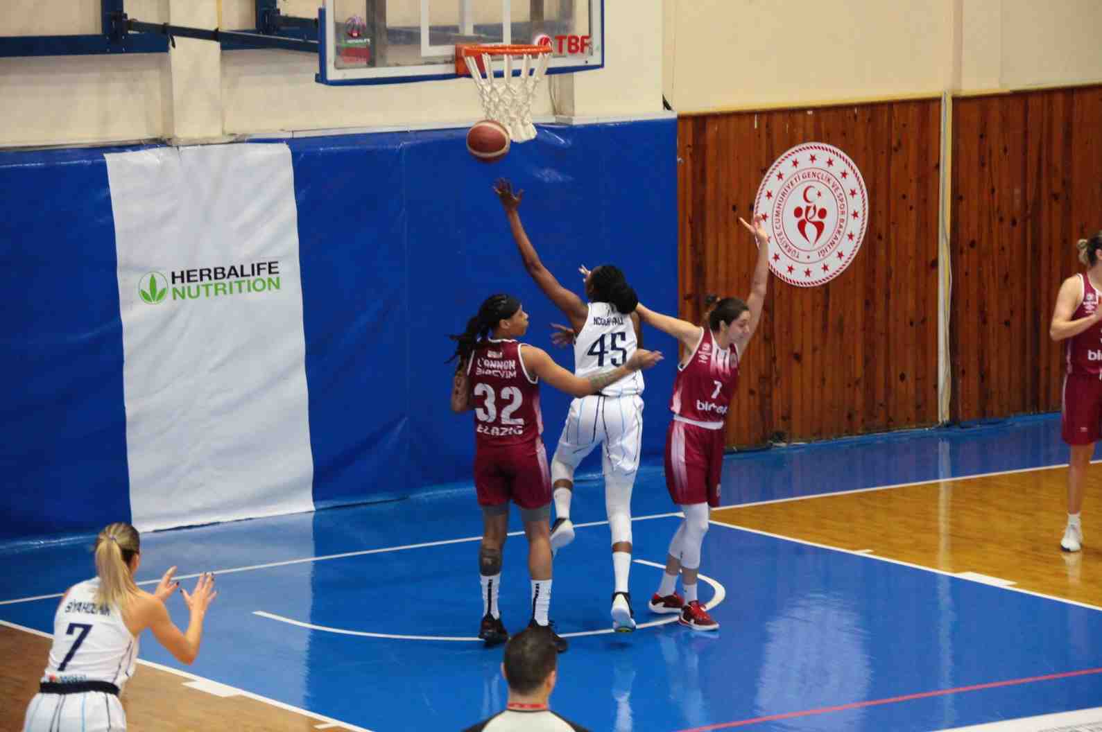 crop_12d146e3-5854-4422-a956-0fd9b74407bf.jpeg