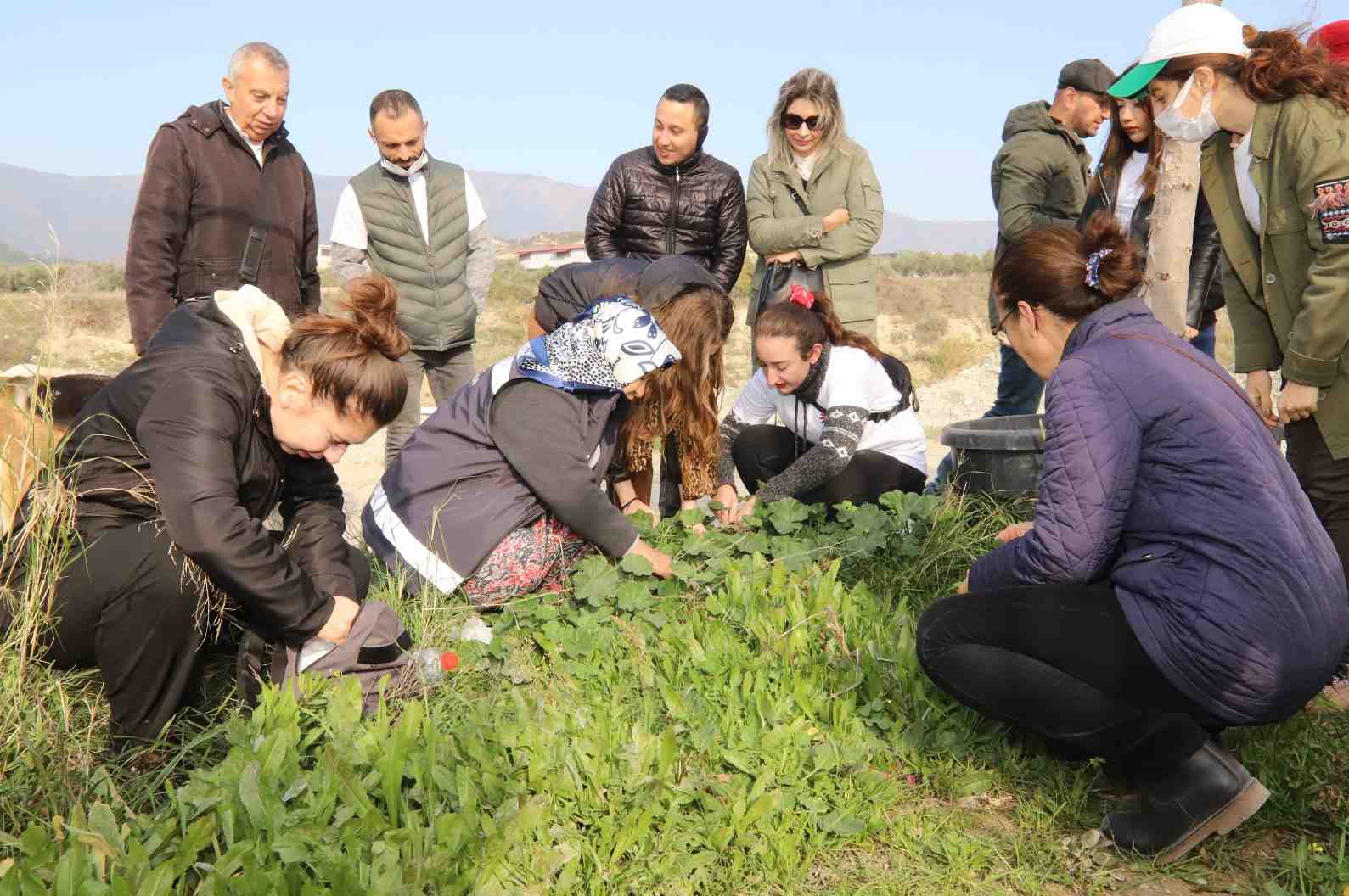 crop_14534fb3-b543-4711-91a9-023565ea6001.jpeg