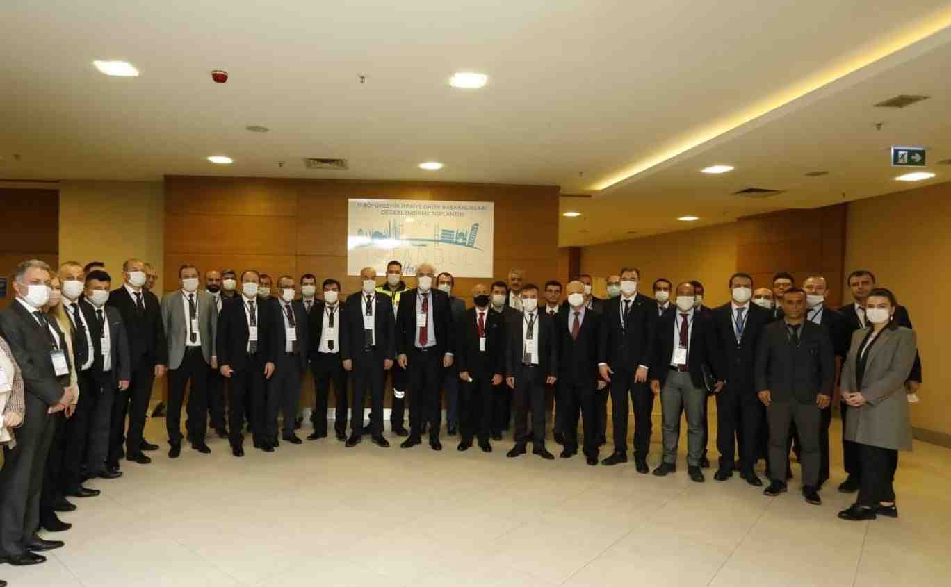 crop_17d8e432-793b-47ae-b30a-b39cc5f4c9a1.jpg