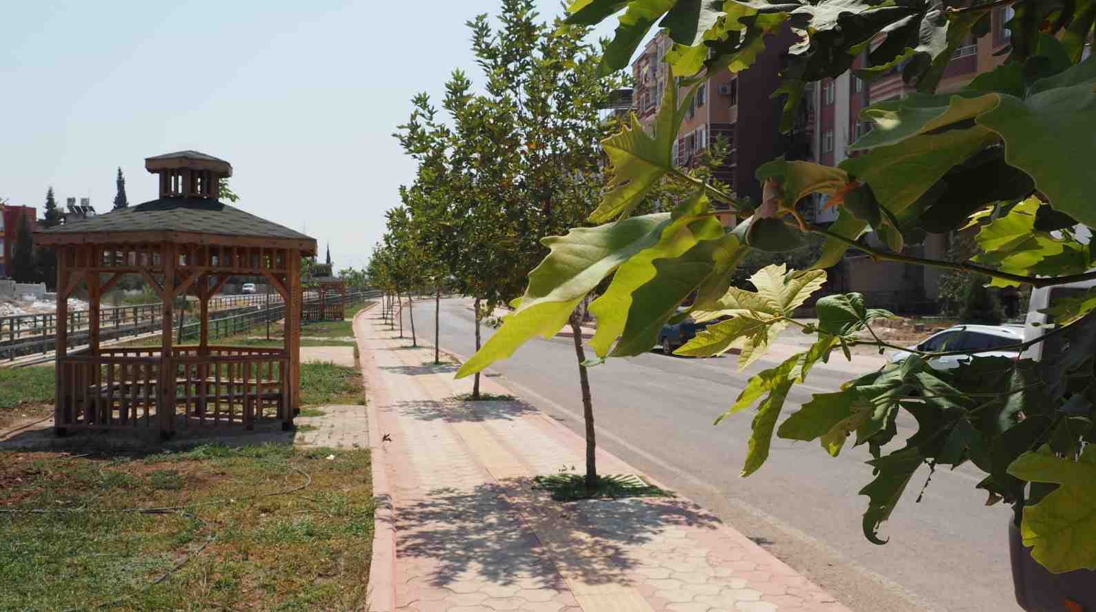 crop_2c0cb23a-80c0-49c7-aa07-a919b5523ab9.jpg