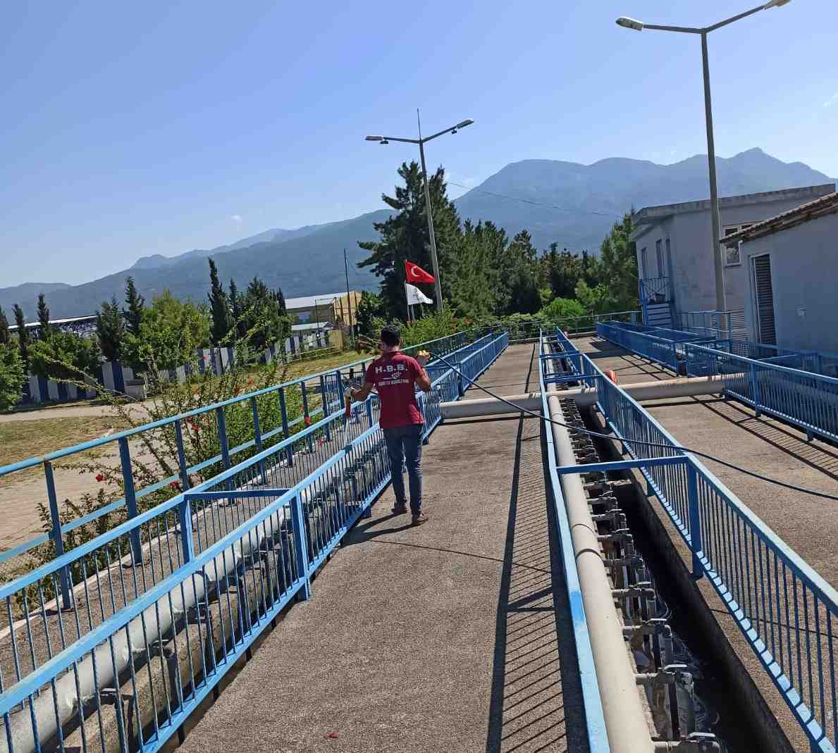 crop_2cc405f4-a9cf-43e1-9336-c49dda50ce80.jpg