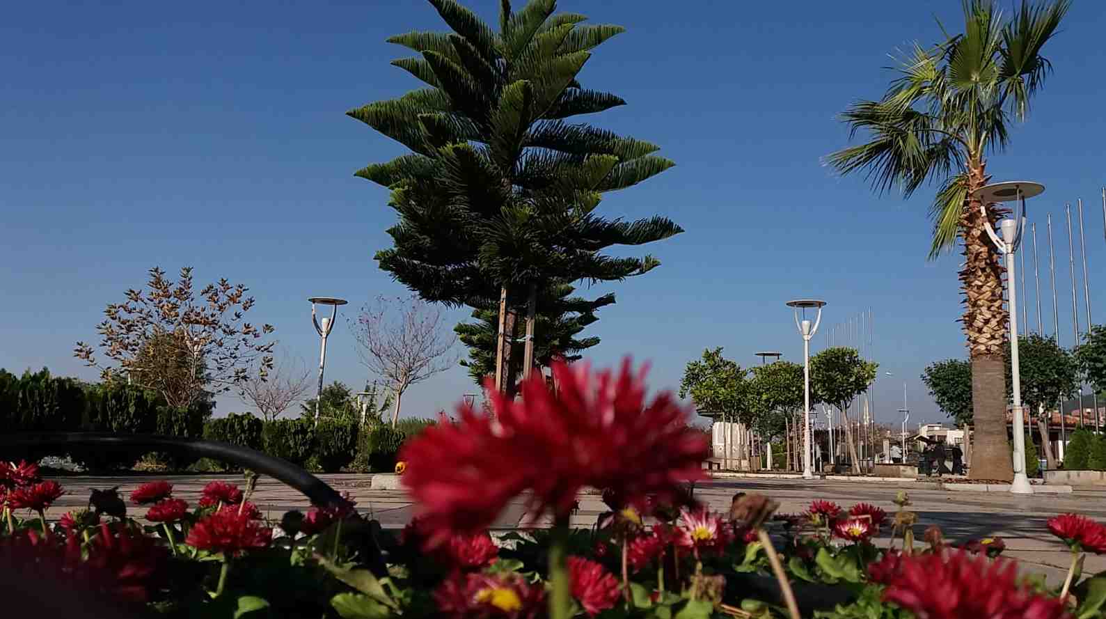 crop_2d817c7d-3aaf-4941-873f-47aa0859b1b4.jpeg