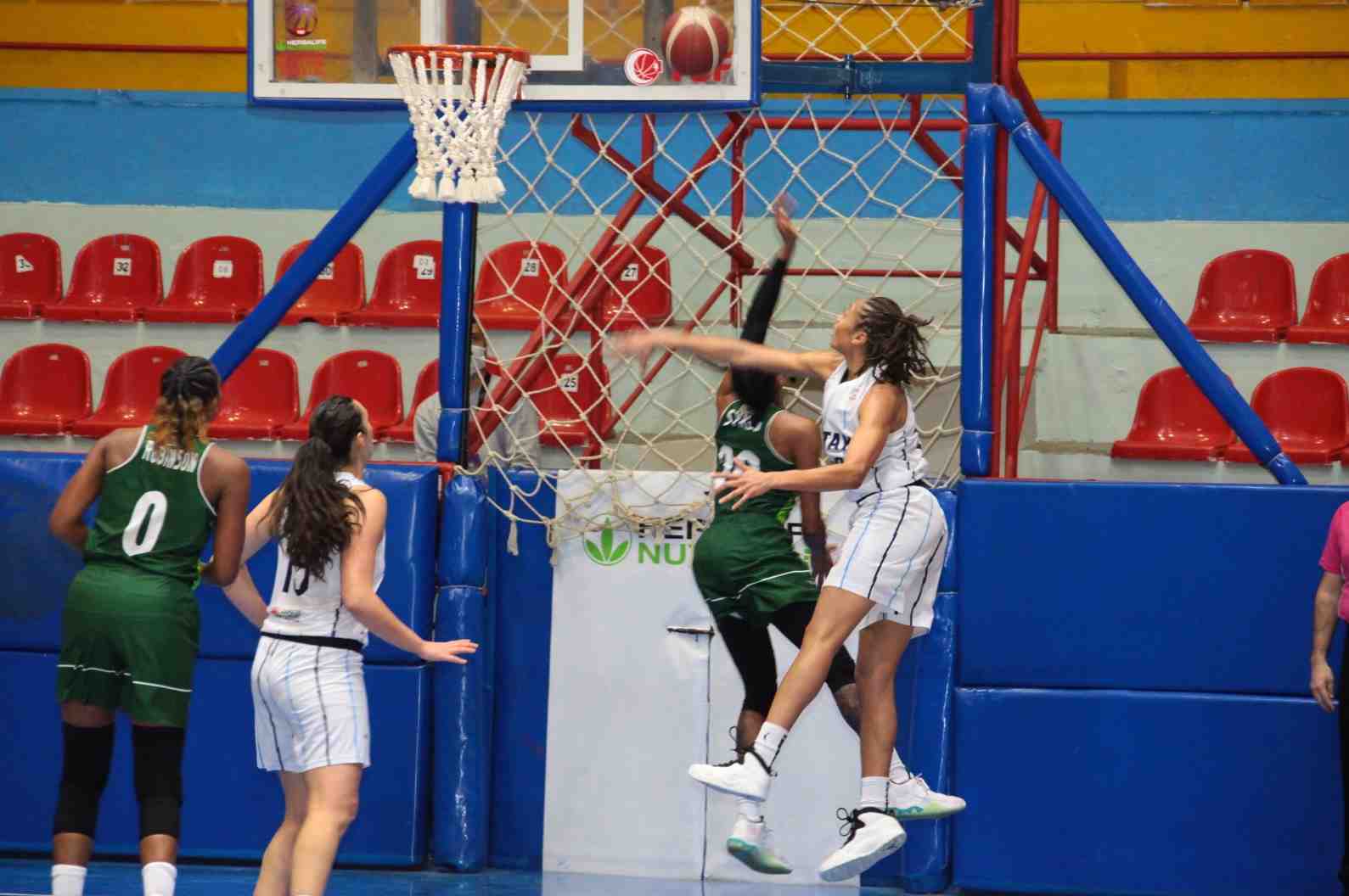 crop_3660cbfe-44e5-4aec-a398-ffa87e3281ae.jpg