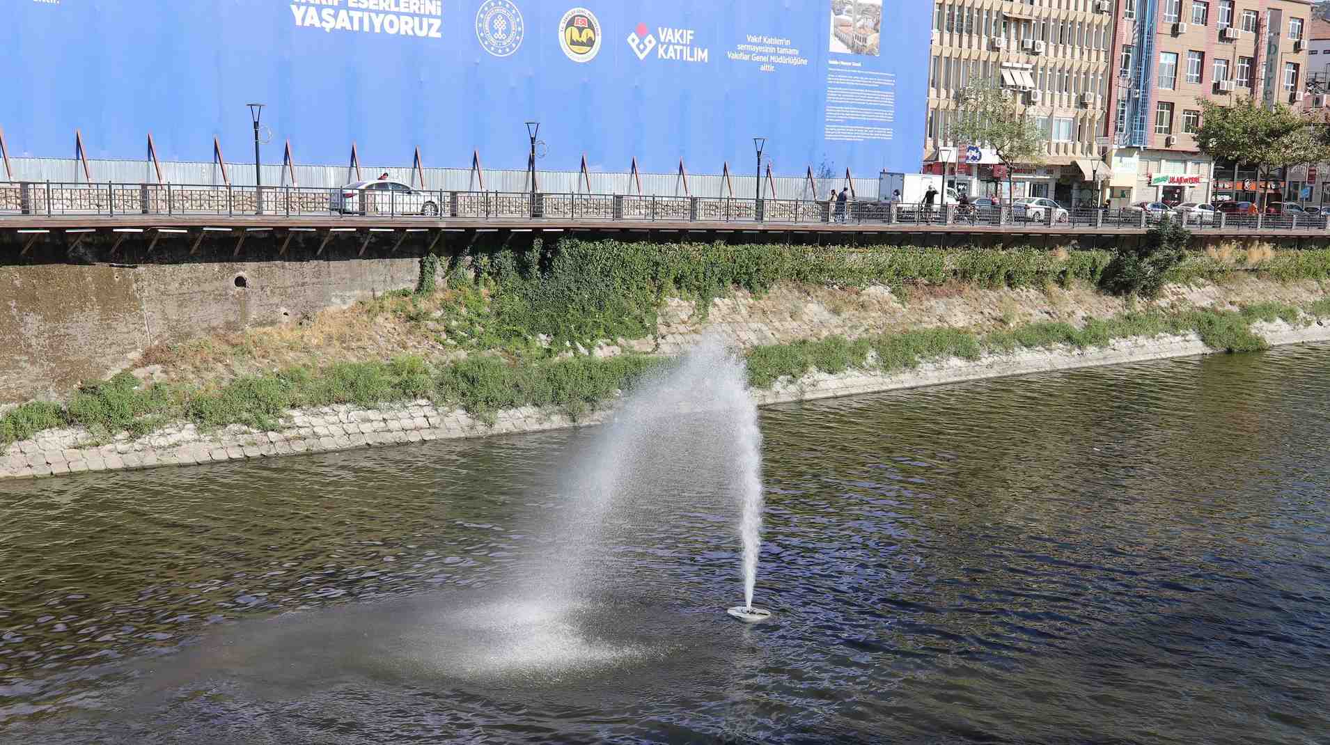 crop_3a844ded-1654-4fc0-8bc8-3ad043415849.jpg