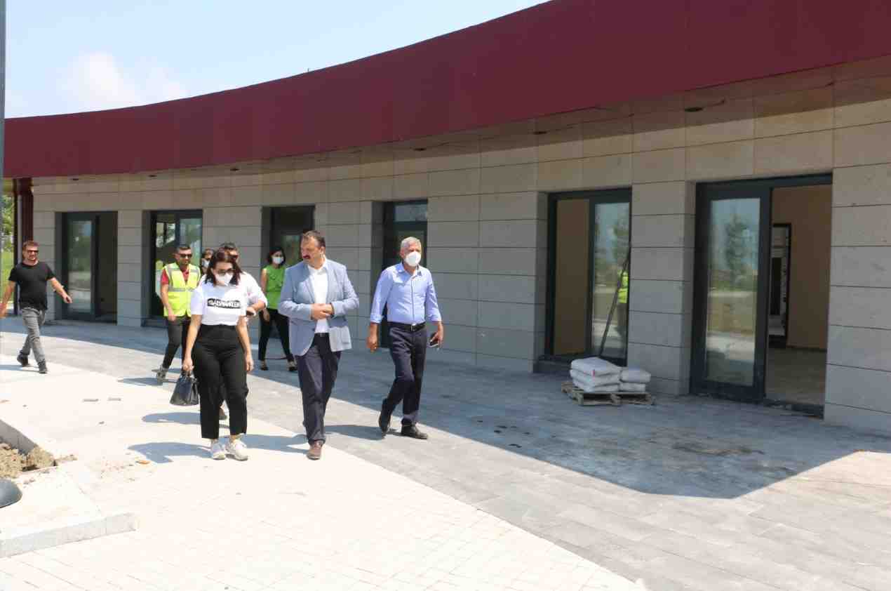 crop_3aaca8e6-8fd0-431b-841e-0980117d47ac.jpg