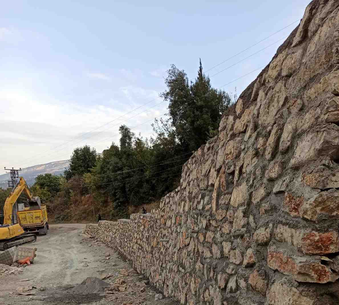 crop_4e13027a-3d32-4451-bb7f-2621060d8f96.jpg