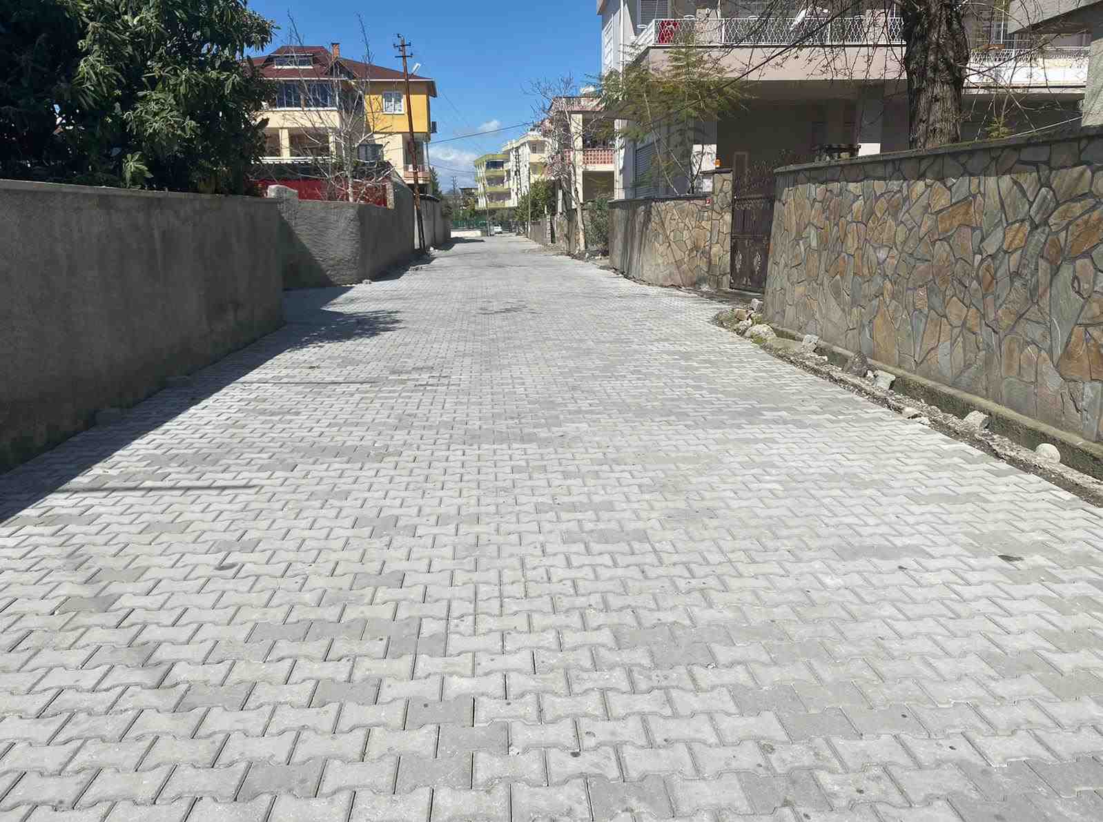crop_516d41fe-3ea0-46da-8219-53a1af378d11.jpeg