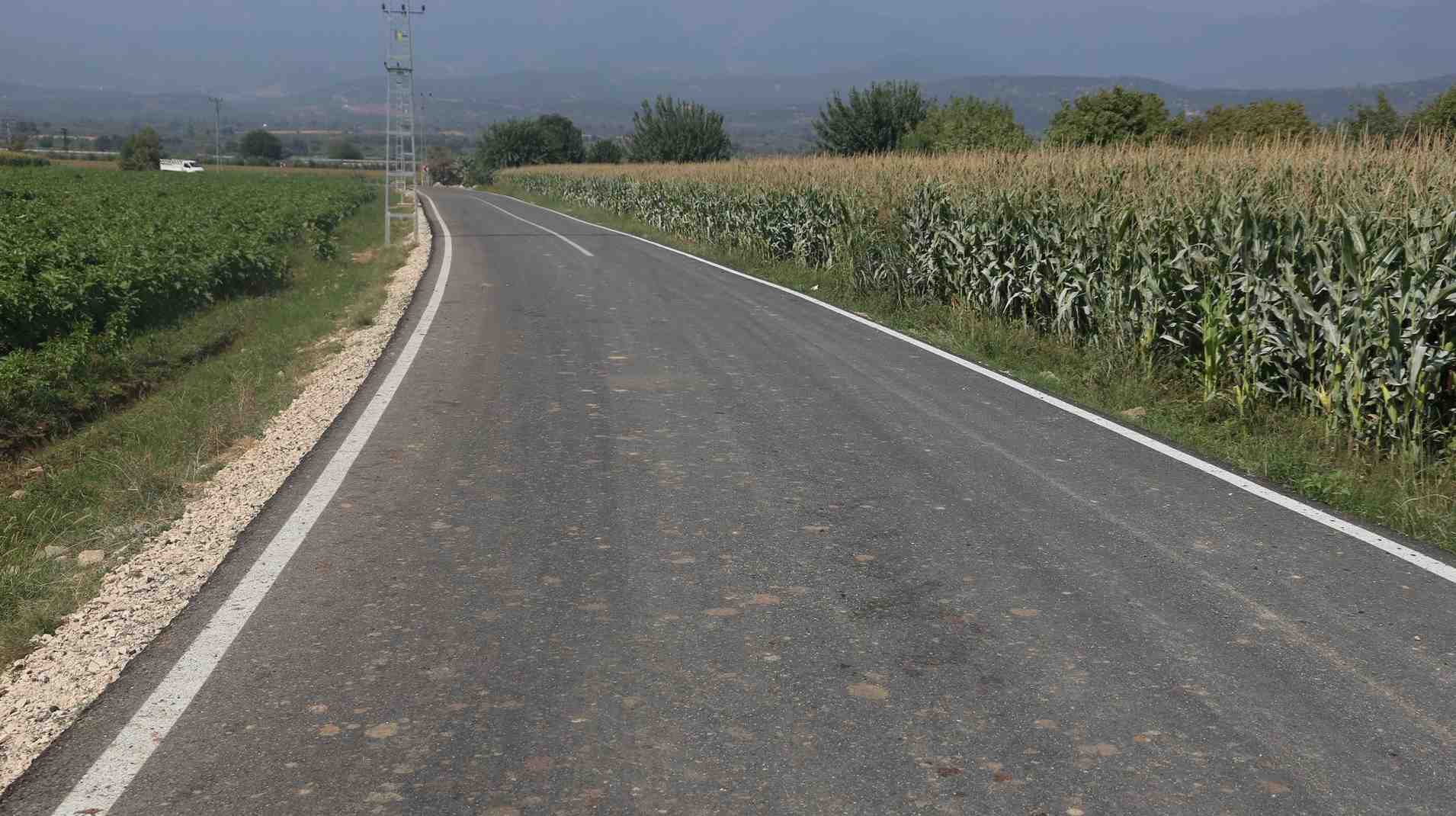 crop_5a1bf423-f8f3-4025-bc76-7a03c5c62f10.jpg