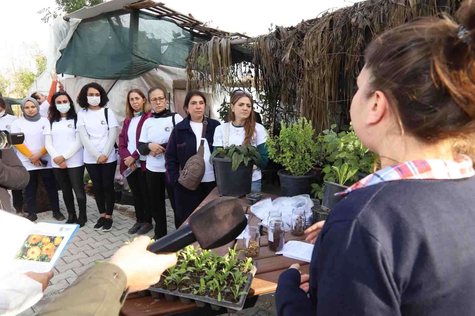 crop_5cddb74c-62be-4a0c-9979-36710e88976e.jpeg