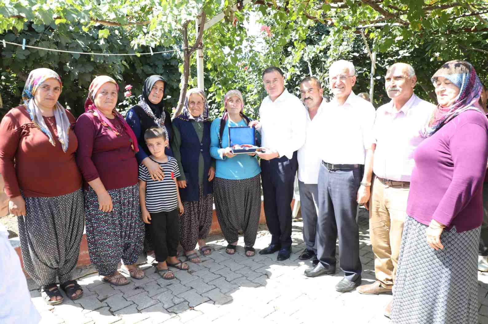crop_5d00d99d-28bb-4800-9260-cd95c00955fa.jpg