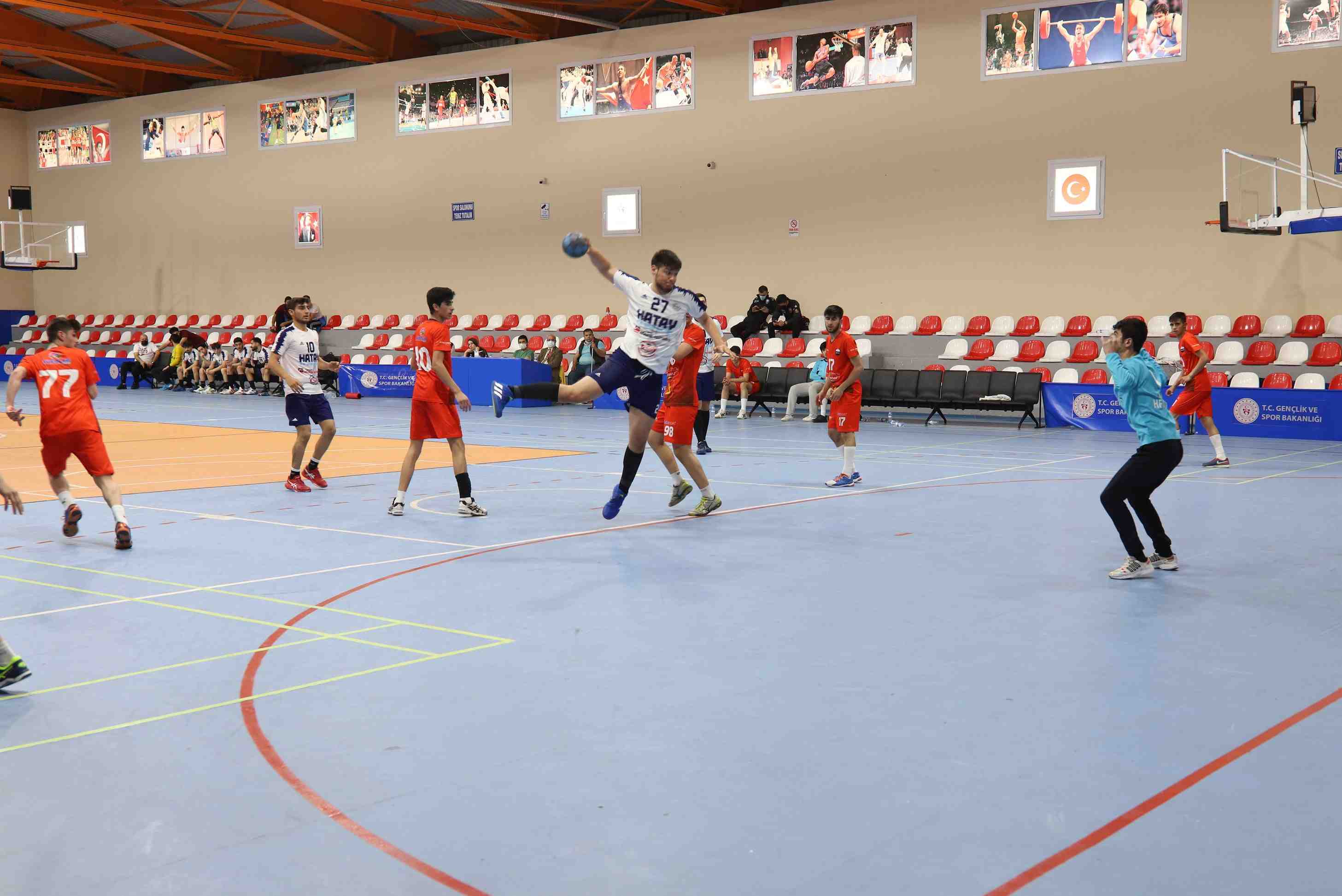 crop_5d49e977-480f-4ff4-8695-0ff096eddcc8.jpg