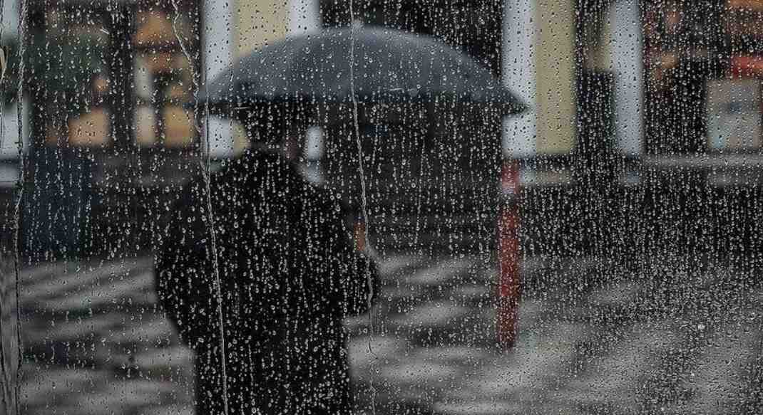 crop_5e6cafed-f56b-4555-a64d-36af23a2f6e6.jpg