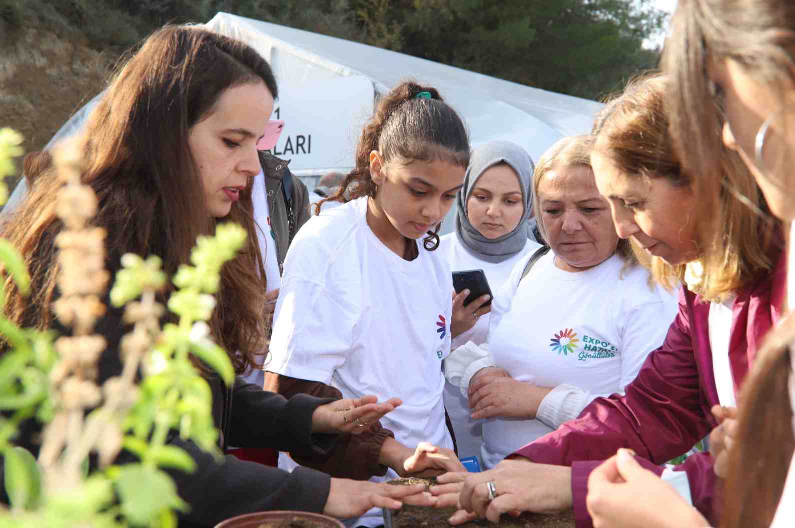 crop_6509d10b-dddc-47f4-9e46-3518734b61de.jpeg