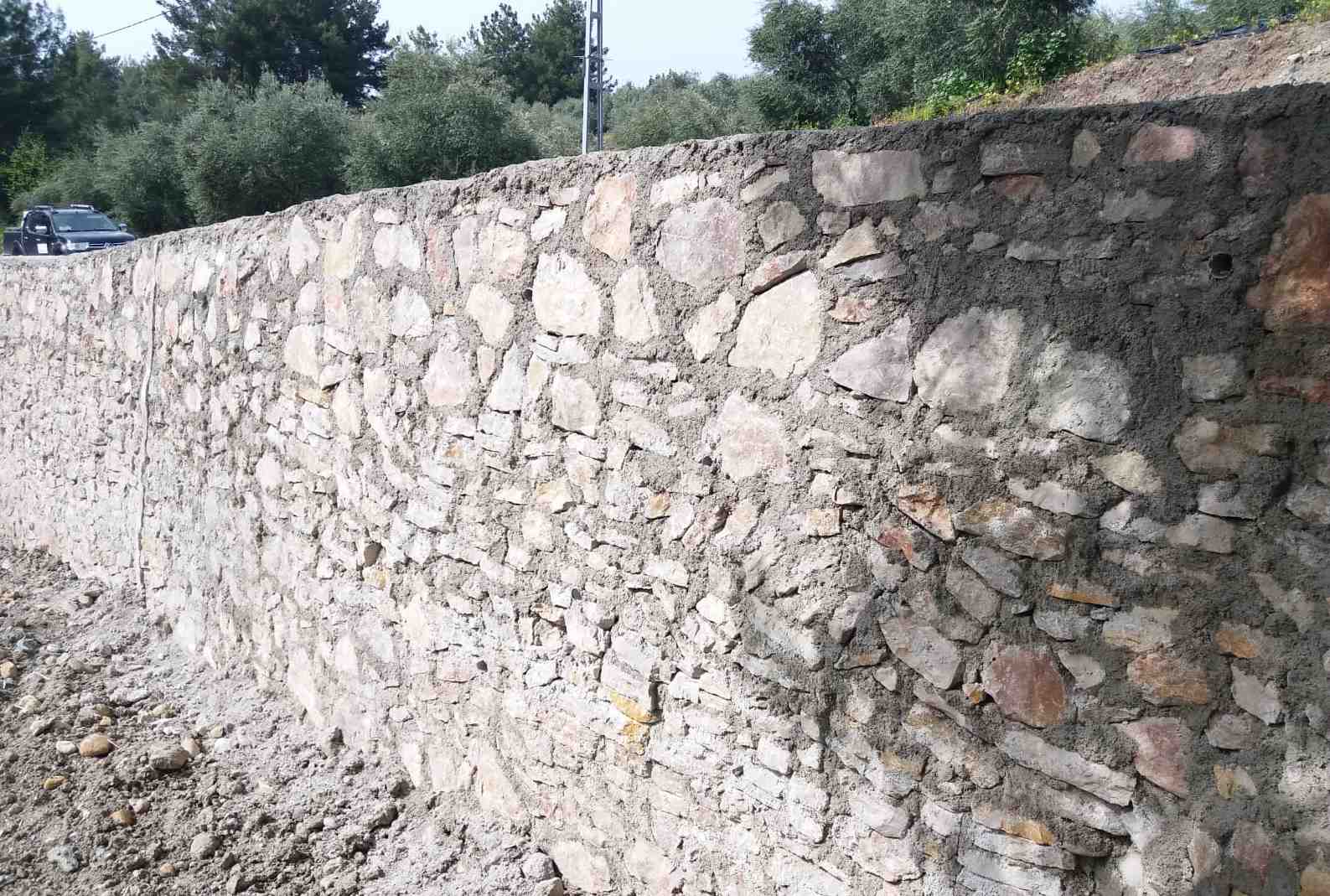 crop_bf9619f4-5509-4ef4-8c97-447123992809.jpeg