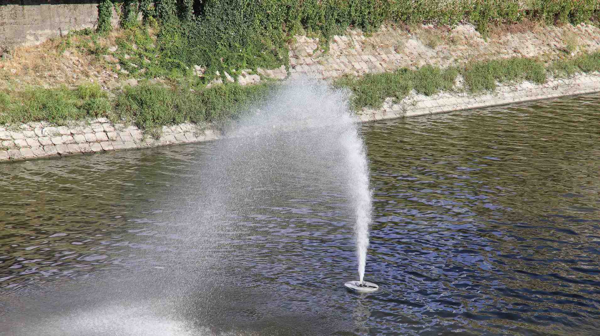 crop_c9455861-4cc4-4022-9f24-41e0a6e1ce7e.jpg