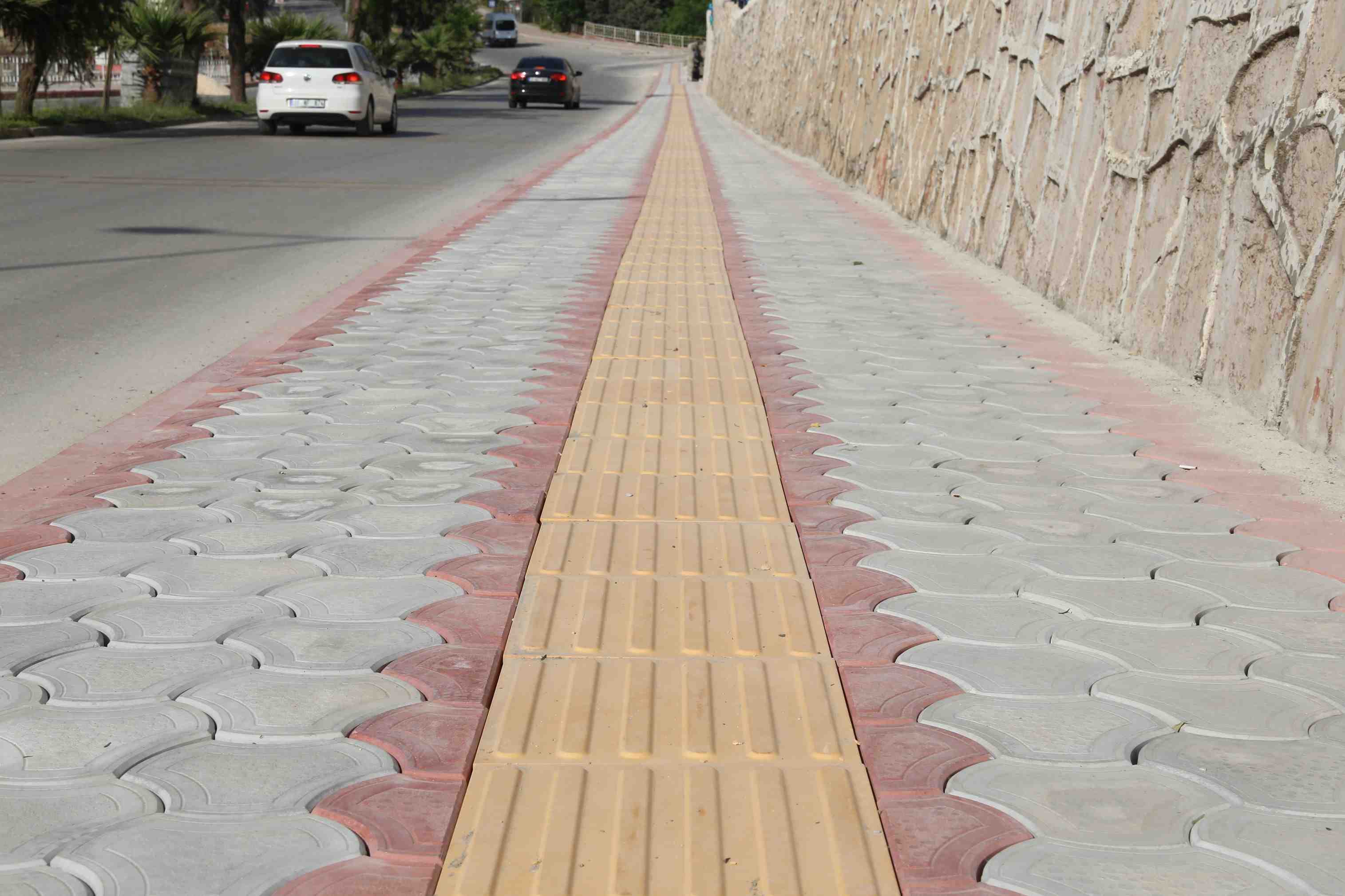 crop_cb3a79cb-591e-421c-8908-cce3f4b478a1.jpg
