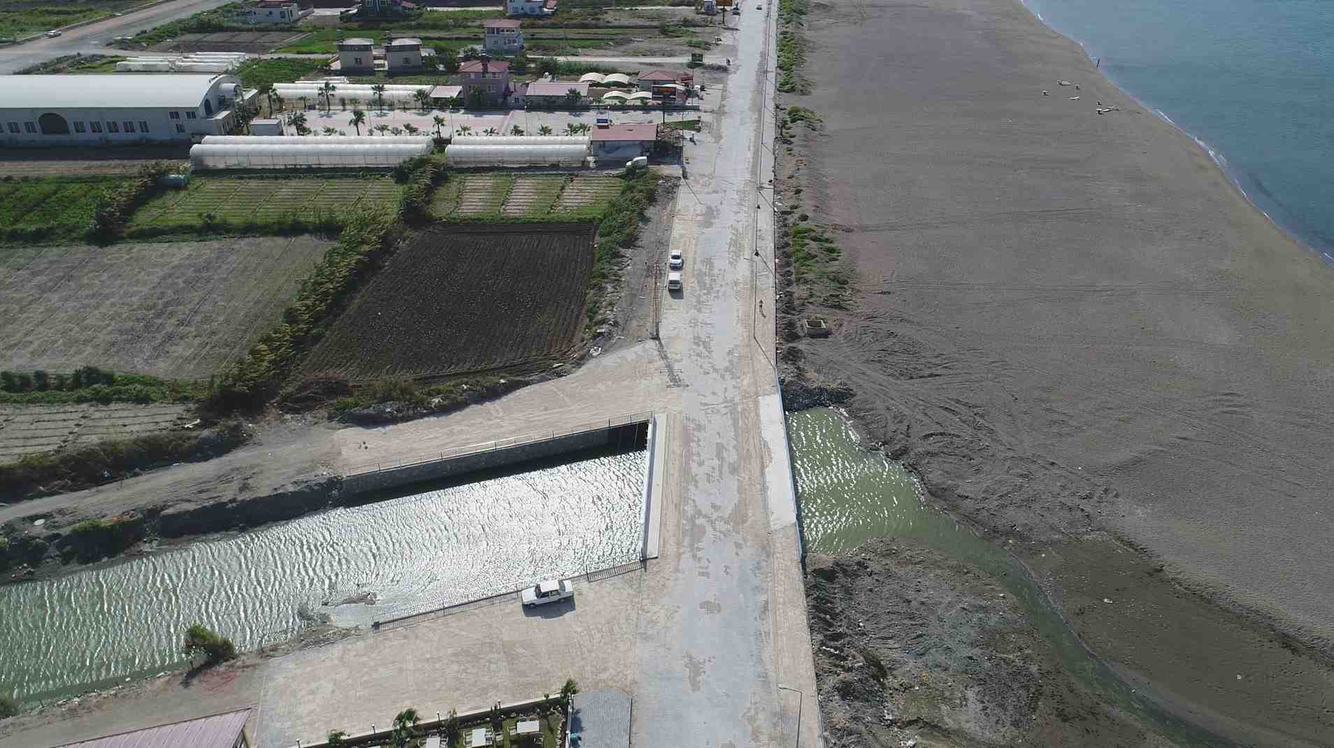crop_d059d397-8f40-471f-9af9-0413a036fdce.jpg