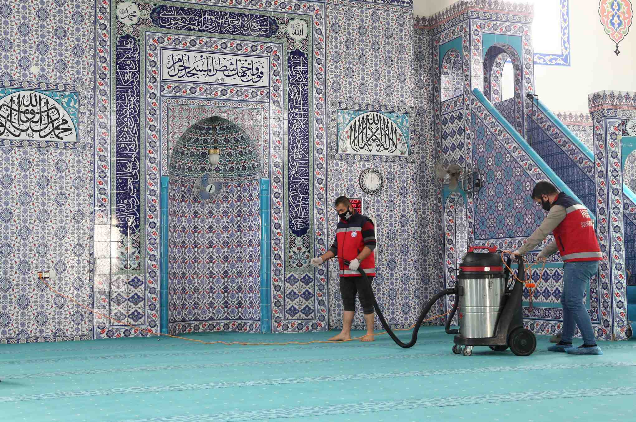 crop_dc86783f-ffb4-4d9d-ab12-010f82f5d5dd.jpg