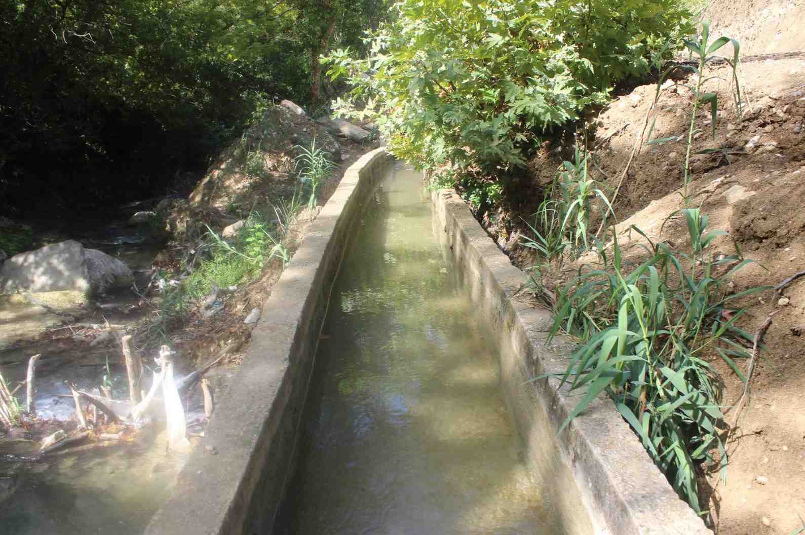 crop_dd2c9ada-b60c-4e37-937b-69df2547dc74.jpg