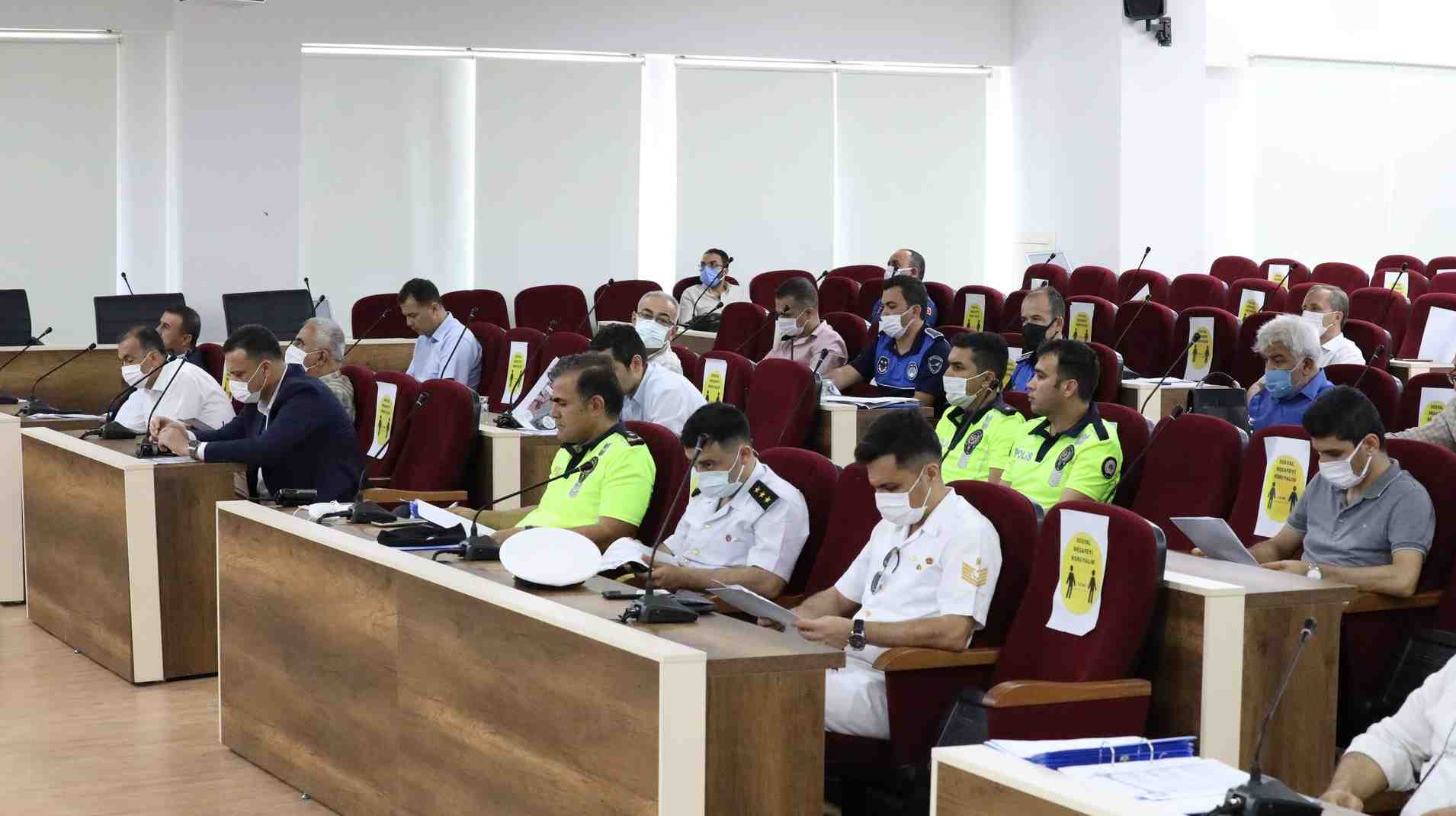 crop_dd3e8156-fd6c-448a-b078-7045e8f36e57.jpg