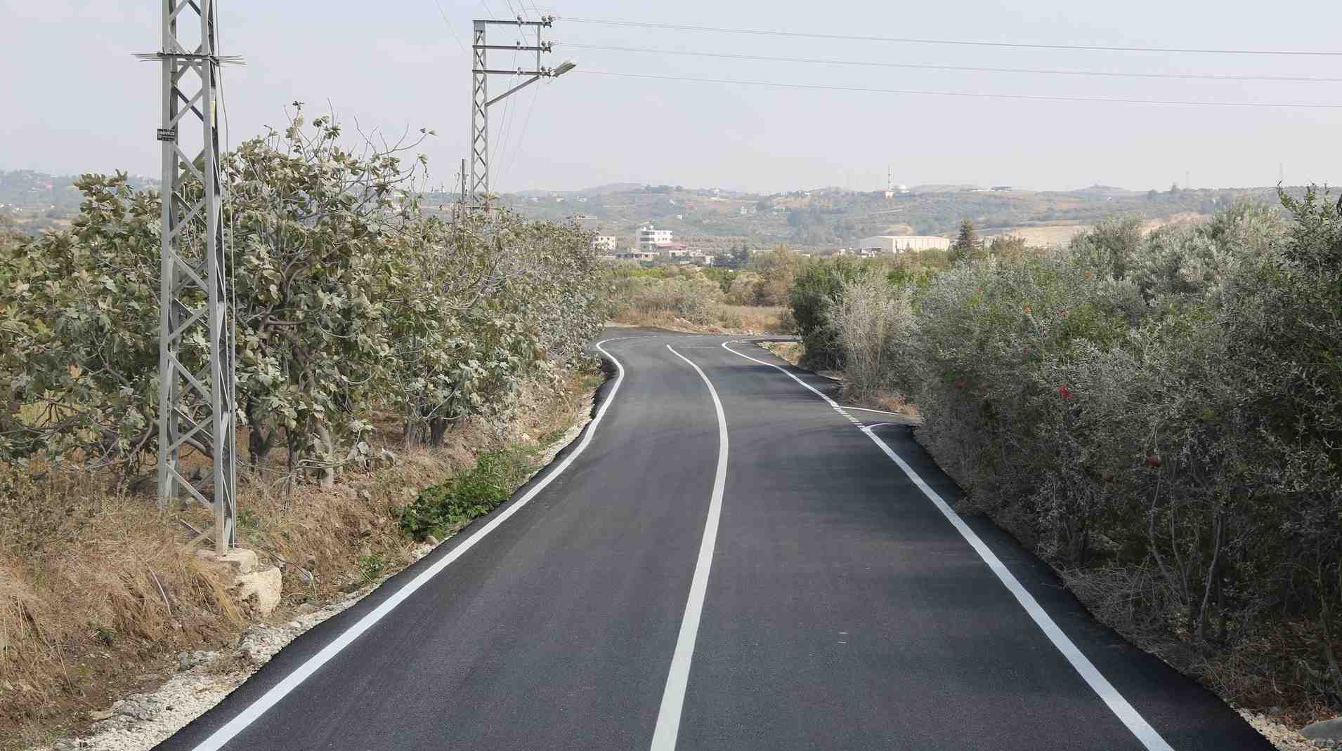crop_dd7d2b39-f036-4119-af33-c52d917ee568.jpg