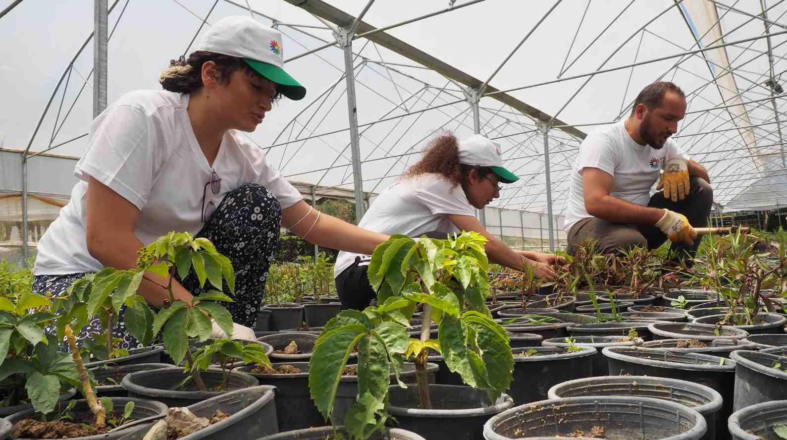crop_eb7fceff-dba0-432a-a0c3-a7cae3893003.jpeg