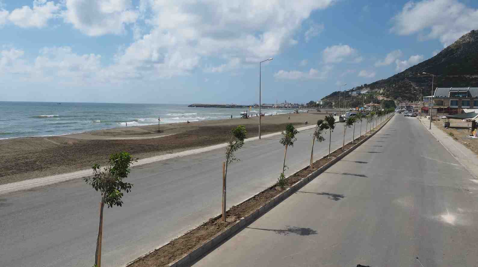crop_eea460da-67c0-4882-ac04-100b8cc87043.jpeg