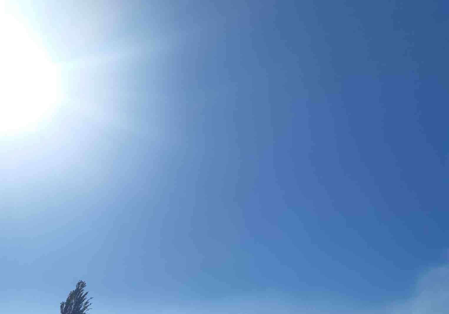 crop_faccf7e5-16d1-42f4-ab75-31e741d12b10.jpg
