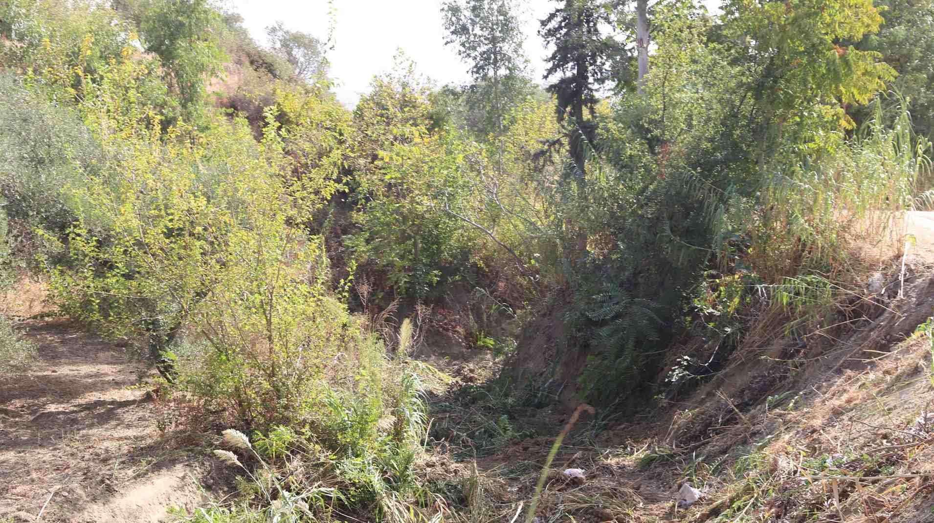 crop_ff05699f-78d5-4aee-8cee-bc5c26445e3b.jpg