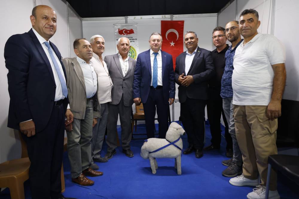 kNRrKkp1adyM55sjiinY.jpg
