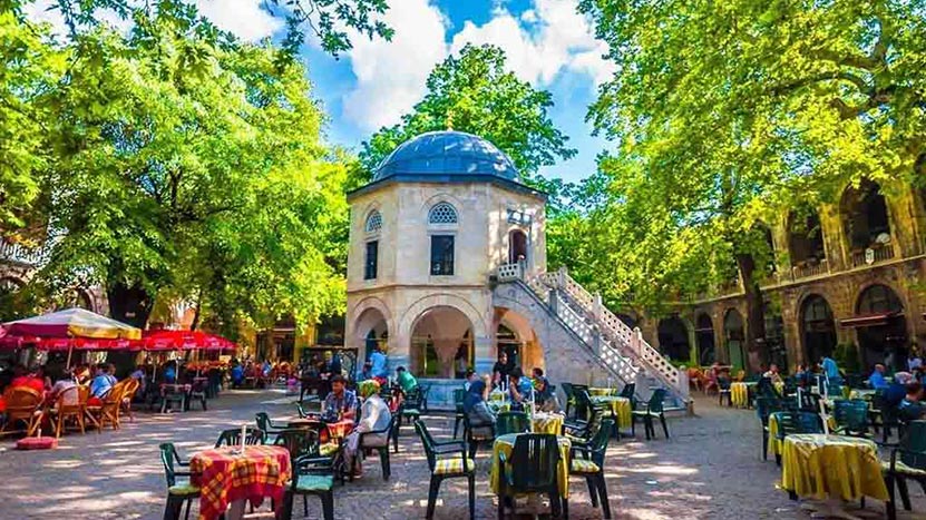 bursa